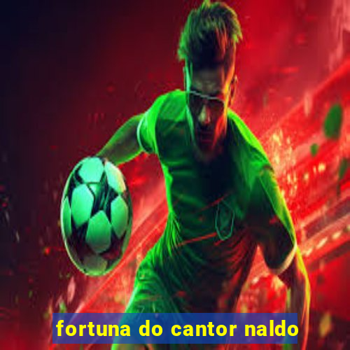 fortuna do cantor naldo